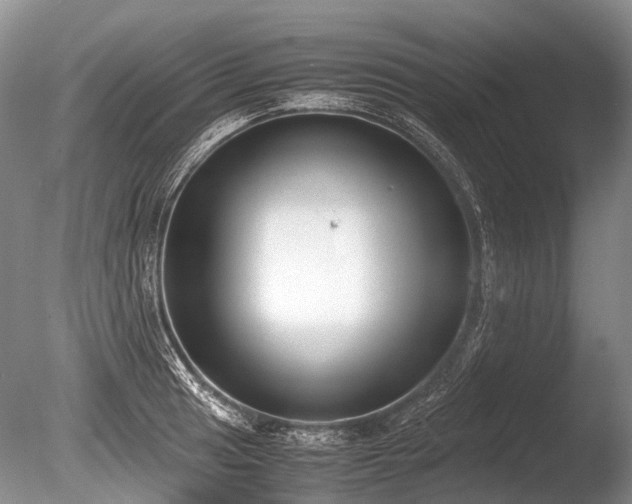 X0000086311041200703301145