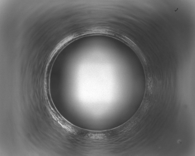 X0000086311043200703301145