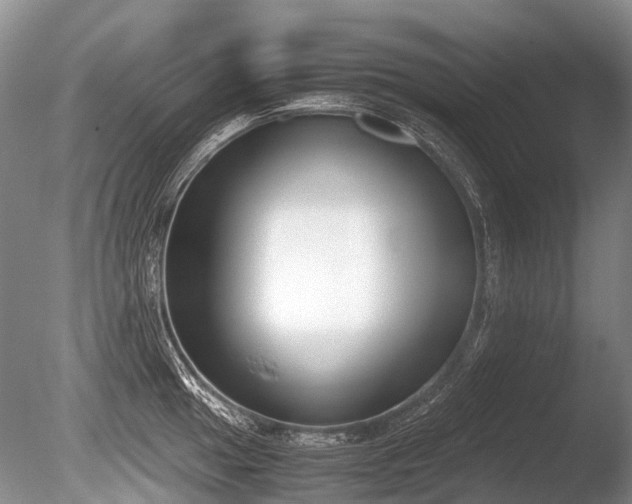 X0000086311049200703301145