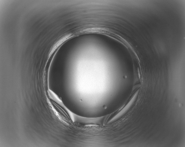 X0000086311050200703301145