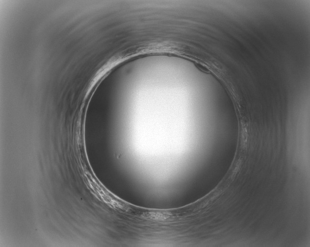 X0000086311052200703301145