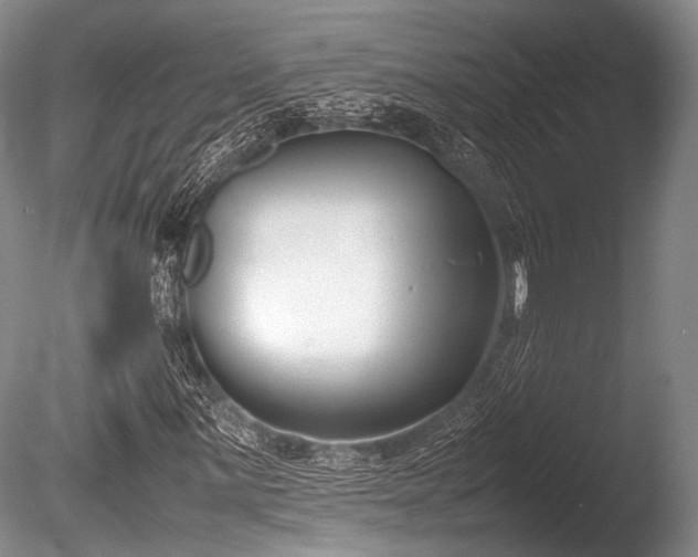 X0000086311059200703301145