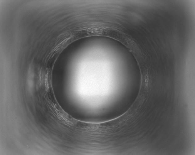 X0000086311060200703301145