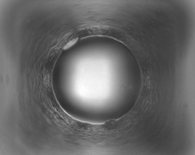 X0000086311061200703301145