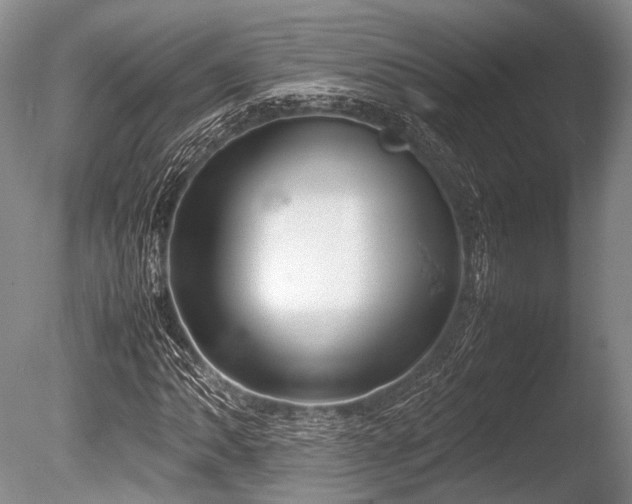 X0000086311062200703301145