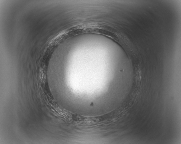 X0000086311063200703301145