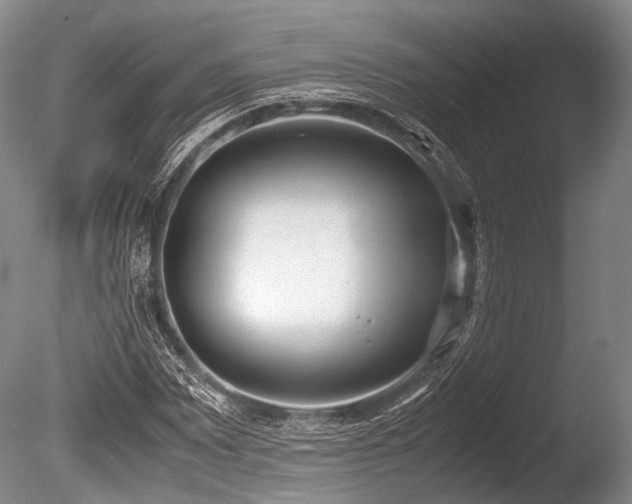 X0000086311065200703301145