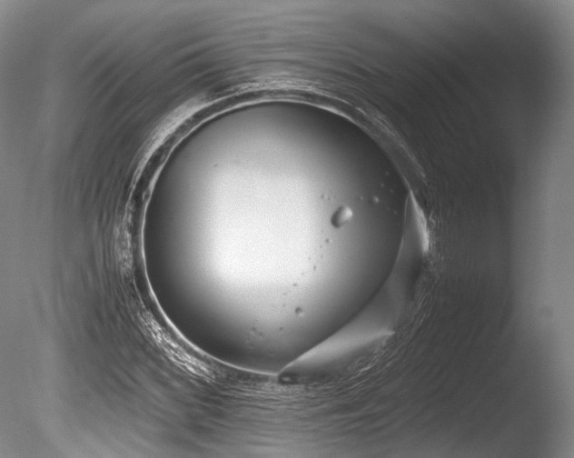 X0000086311068200703301145