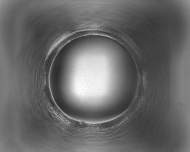 X0000086311069200703301145