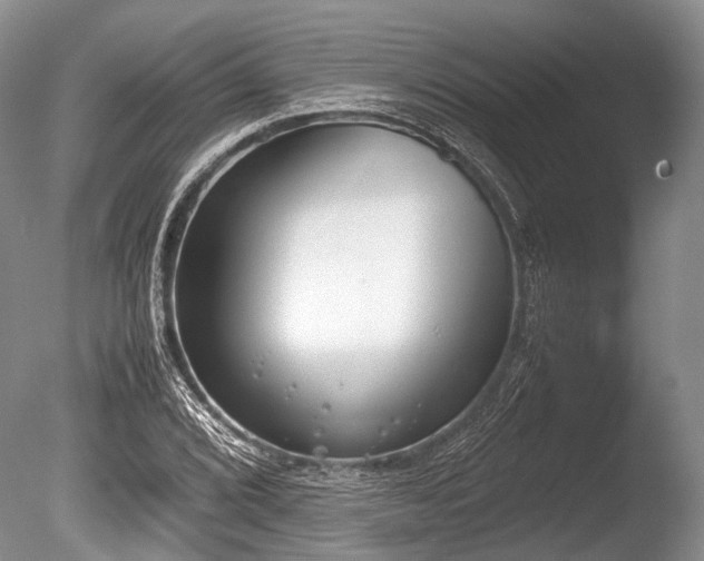X0000086311072200703301144