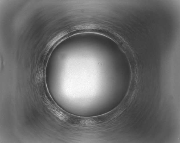 X0000086311073200703301144