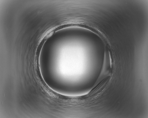 X0000086311077200703301144