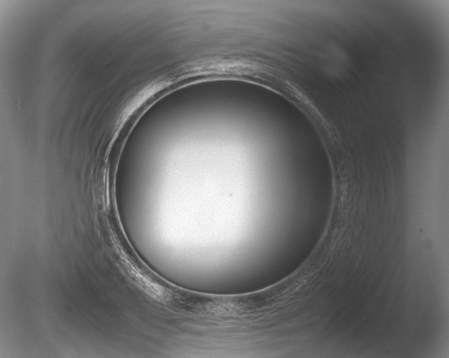 X0000086311079200703301144