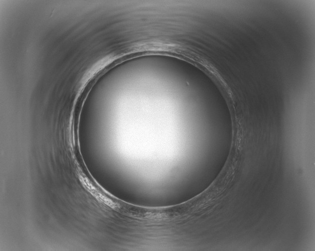 X0000086311080200703301144