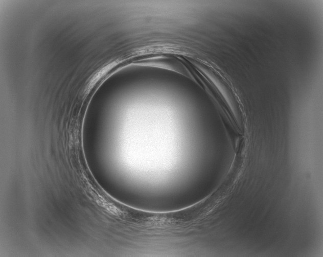 X0000086311081200703301144