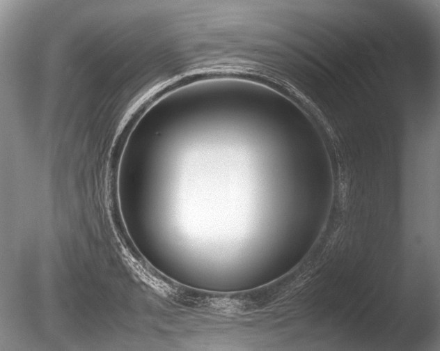 X0000086311085200703301144