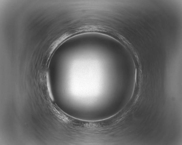 X0000086311089200703301144