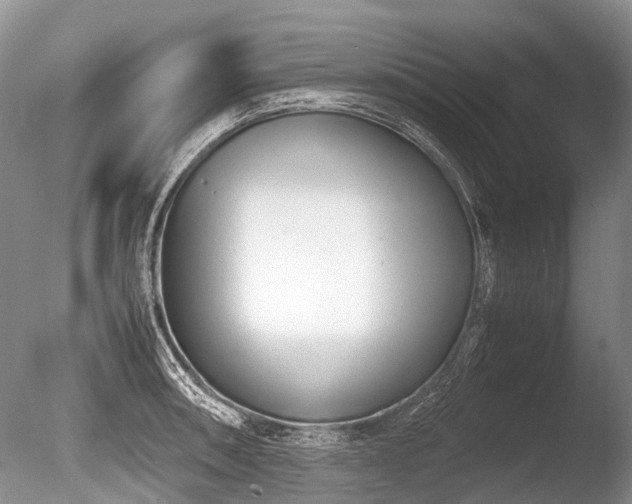 X0000086311090200703301144