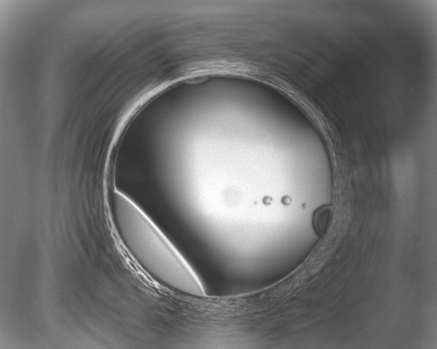 X0000086311104200703301144