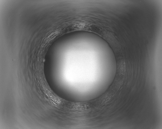 X0000086311105200703301143