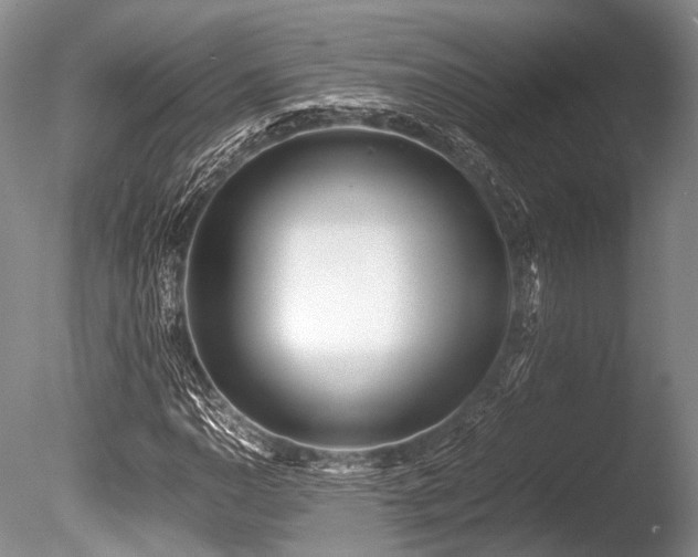 X0000086311110200703301143