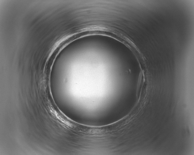X0000086311116200703301143