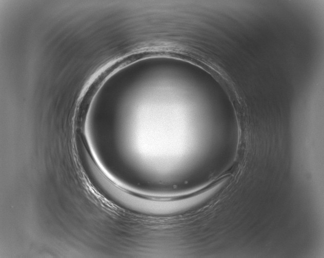 X0000086311120200703301143