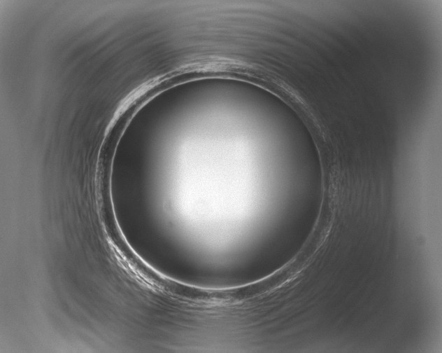 X0000086311122200703301143
