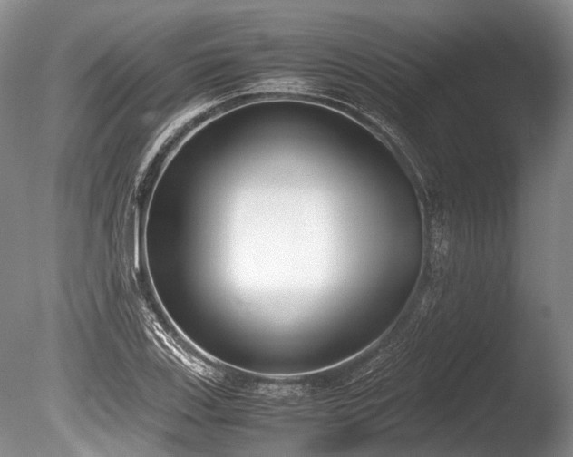 X0000086311123200703301143