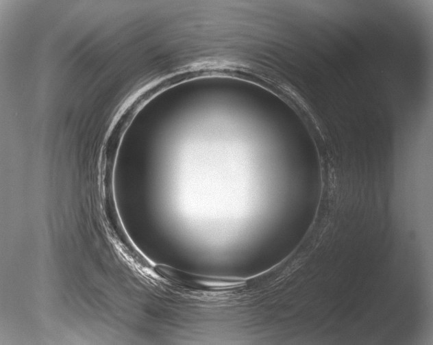 X0000086311124200703301143