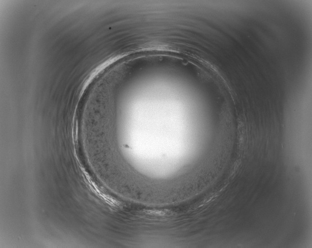 X0000086311125200703301143
