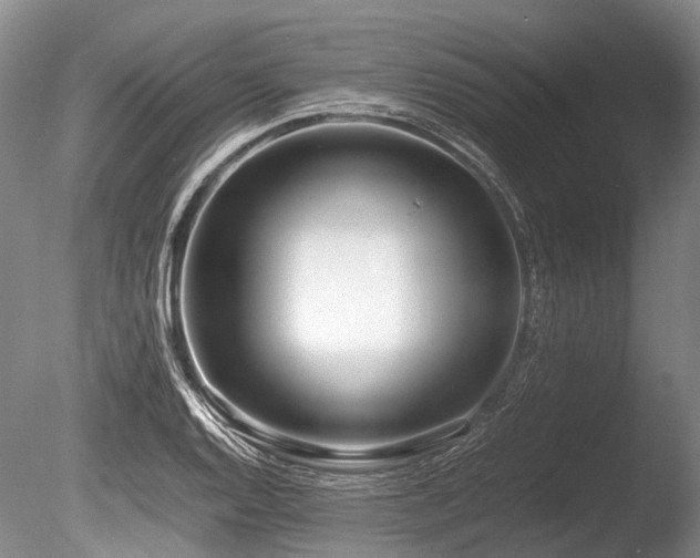 X0000086311128200703301144