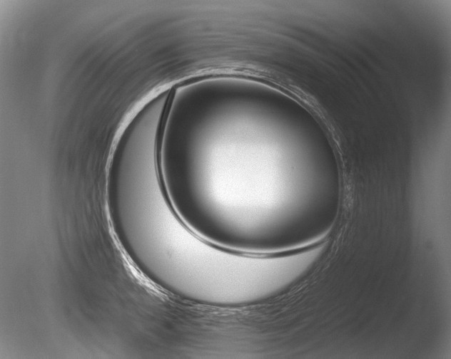 X0000086311136200703301144