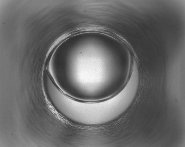 X0000086311138200703301144