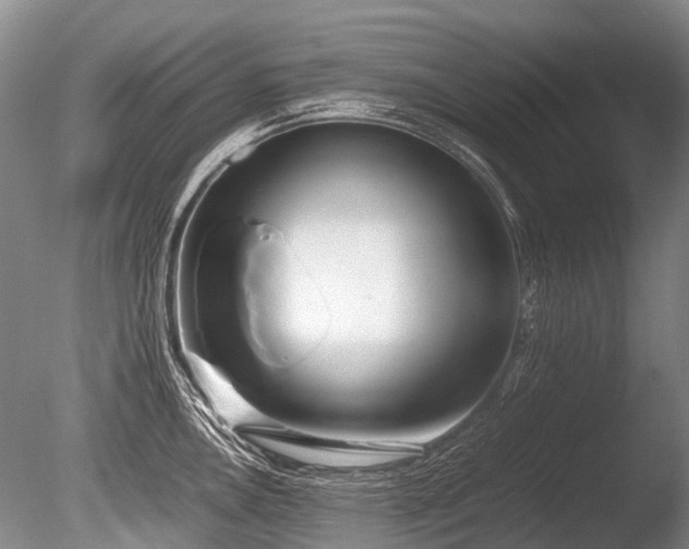 X0000086311146200703301144