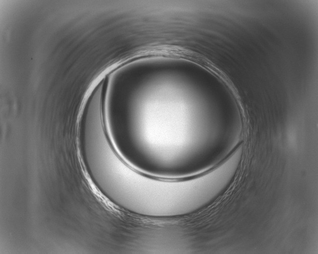 X0000086311152200703301144