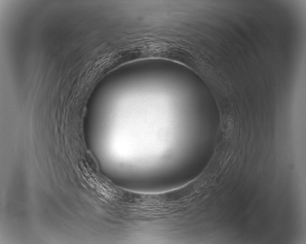 X0000086311153200703301143