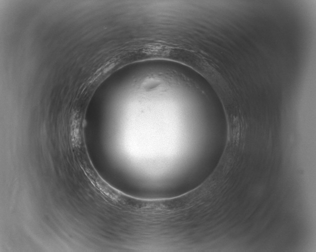 X0000086311154200703301143