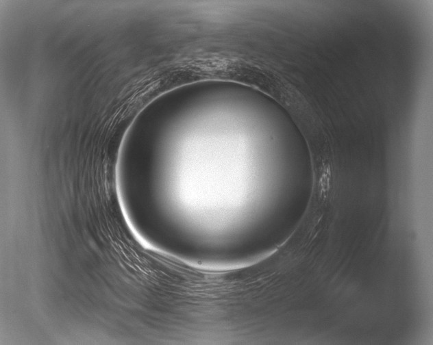 X0000086311156200703301143