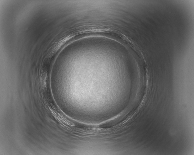 X0000086311161200703301143
