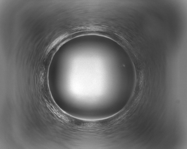 X0000086311163200703301143