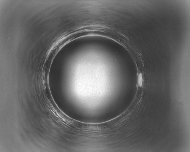 X0000086311164200703301143