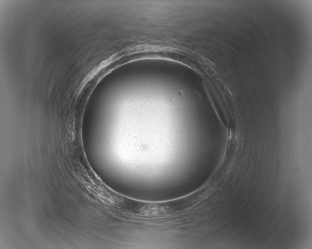 X0000086311165200703301143