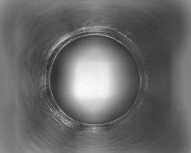 X0000086311166200703301143