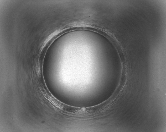 X0000086311167200703301143