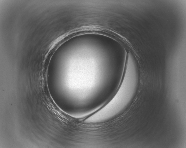 X0000086311168200703301143