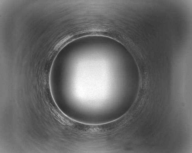 X0000086311169200703301143