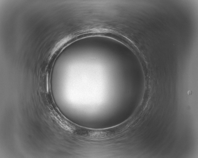 X0000086311171200703301143