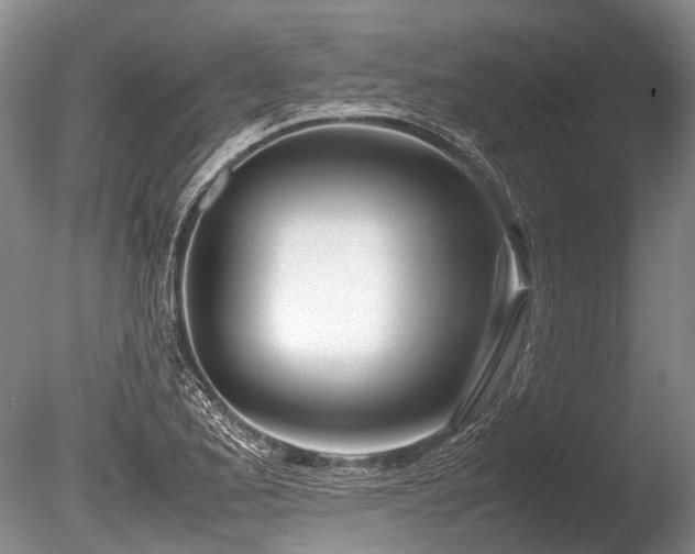 X0000086311173200703301143