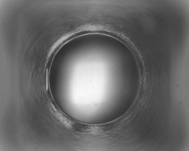 X0000086311175200703301143